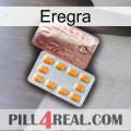 Eregra new13